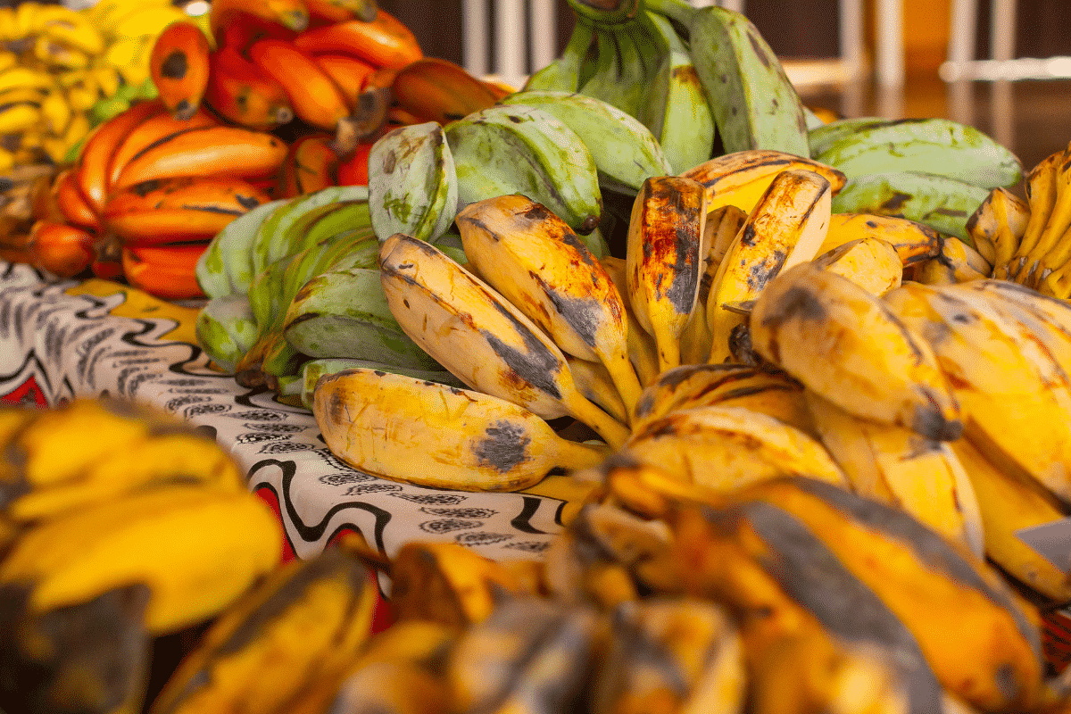 Several varieties of bananas at a market