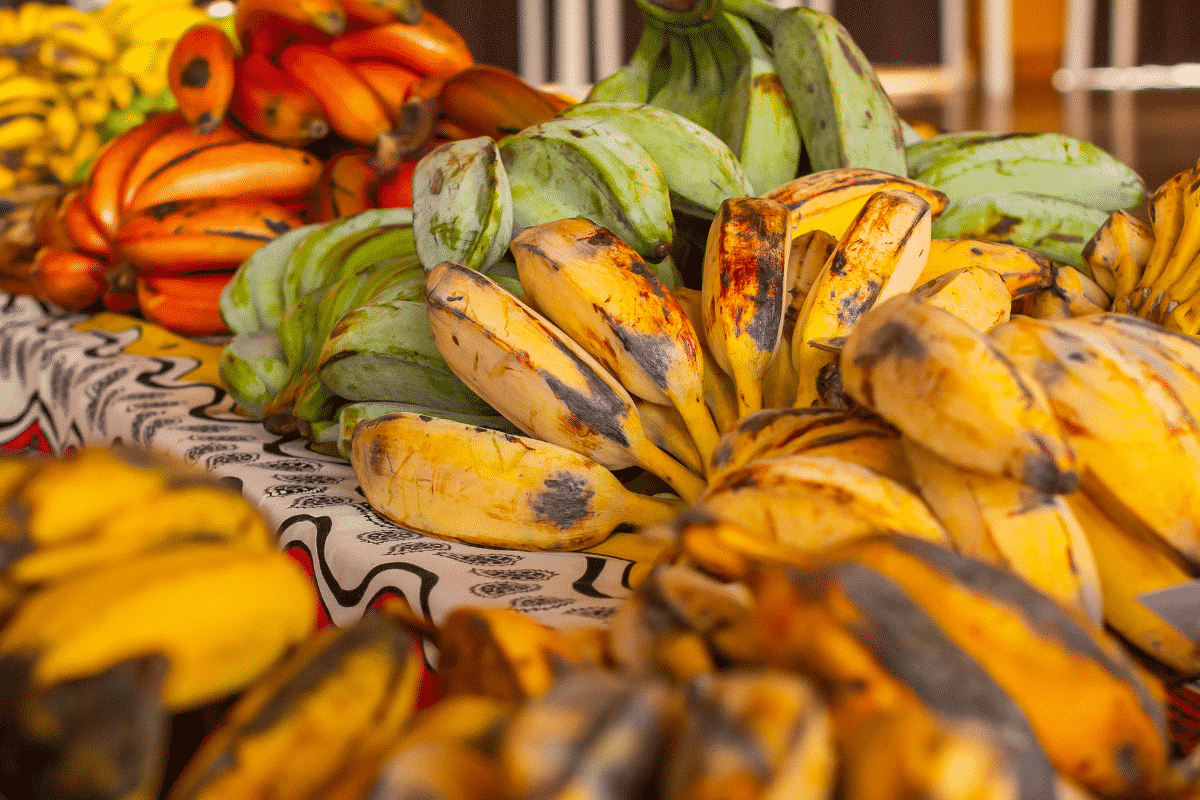  Quel est le meilleur type de banane pour les bébés 