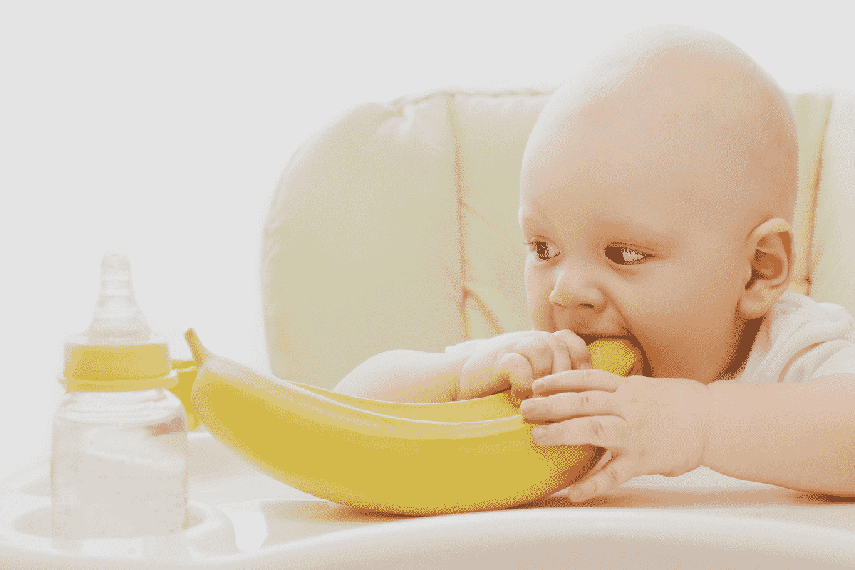 Baby chewing on a whole banana