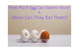How Much Egg Can Babies Have