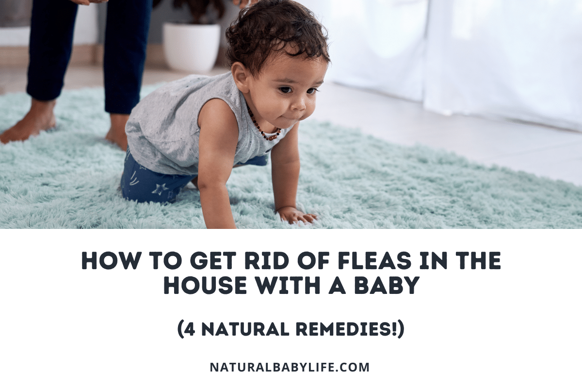 how to get rid of fleas in the house with a baby