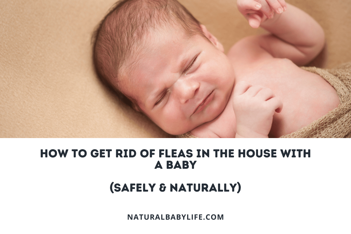 How To Get Rid of Fleas In The House With a Baby