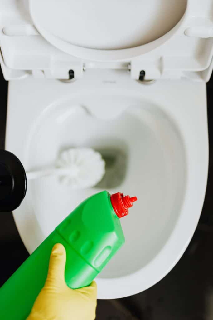 Person holding cleaner and brush over an open toilet bowl