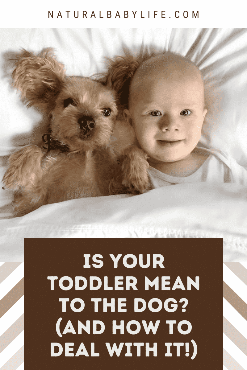 Is Your Toddler Mean to the Dog? (And How To Deal With It