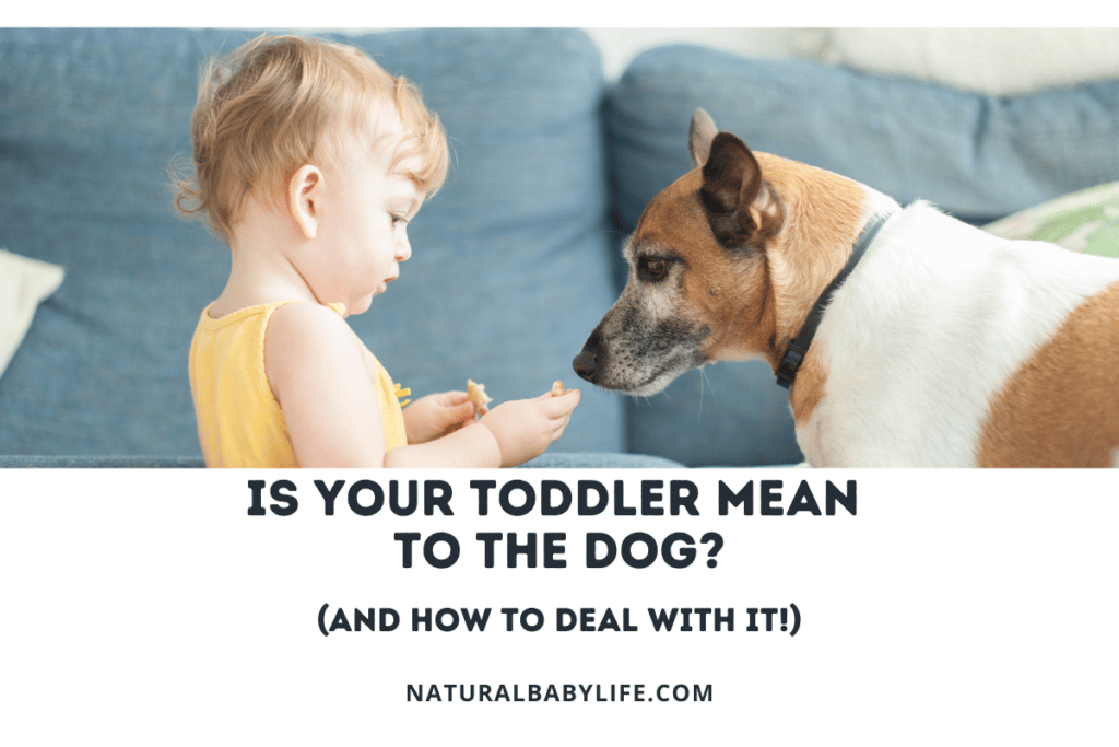 Is your toddler mean to the dog?