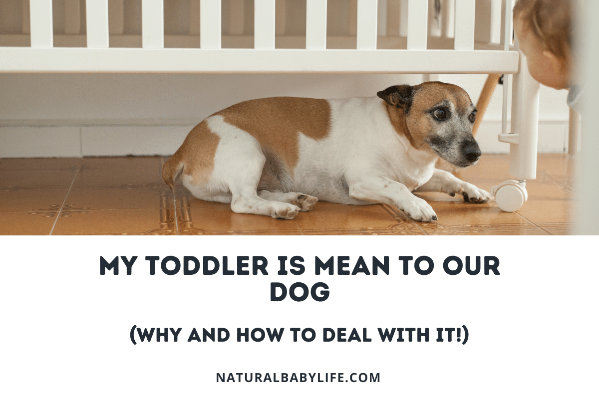 My Toddler Is Mean To Our Dog (Why and How To Deal With It!)