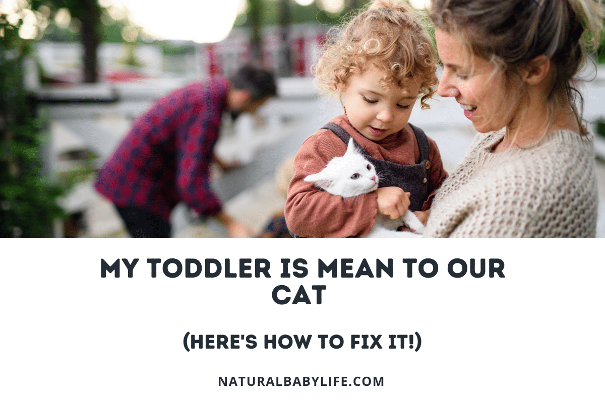 My Toddler Is Mean to Our Cat (Here’s How to Fix It!)