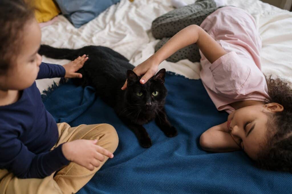 Children playing with cat on bed