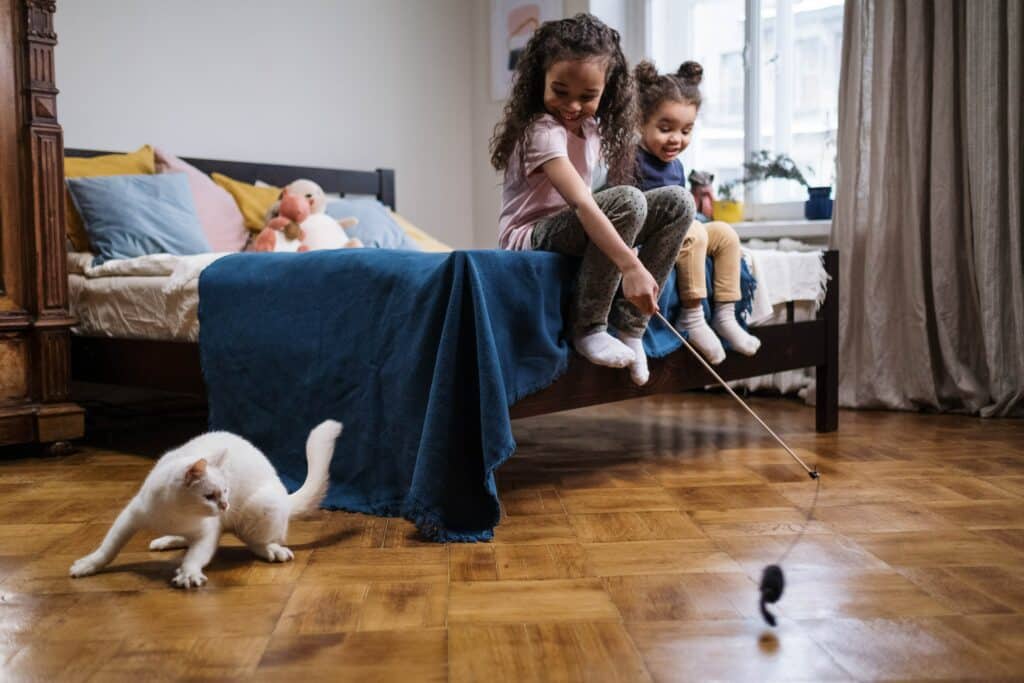 Children on bed playing with cat