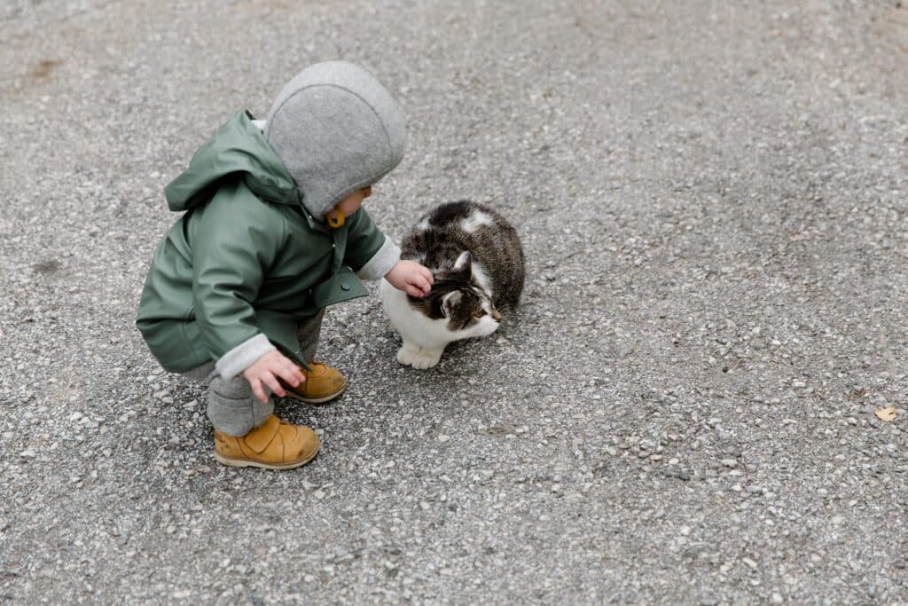 Toddler sitting on ground to pet cat