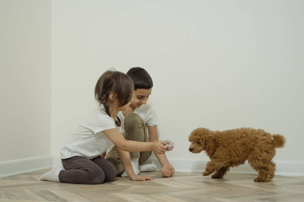 Two small children playing with a puppy
