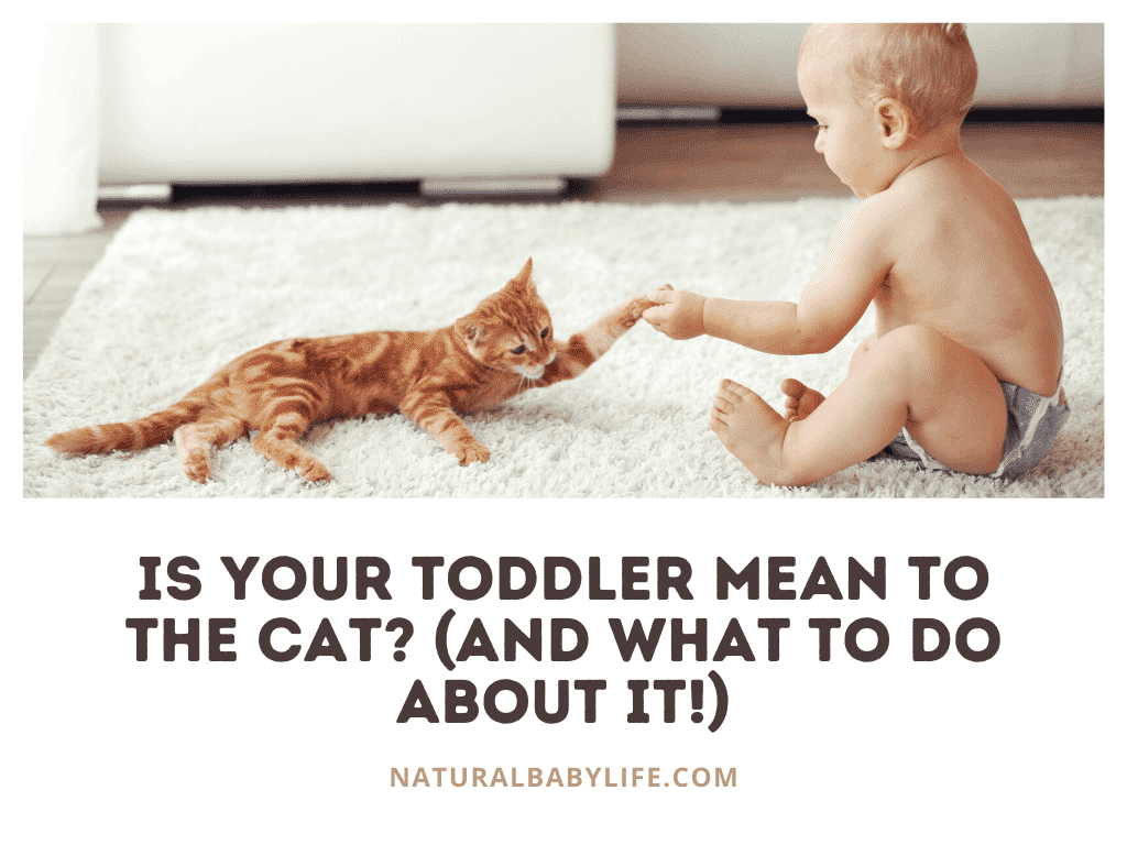 Is your toddler mean to the cat? (And what to do about it!)