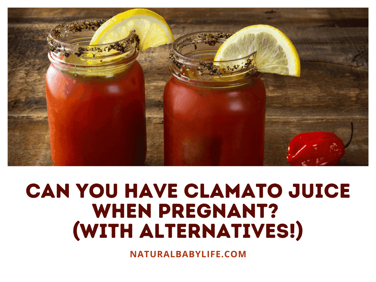Can You Have Clamato Juice When Pregnant?