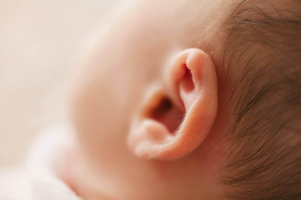 Baby ear