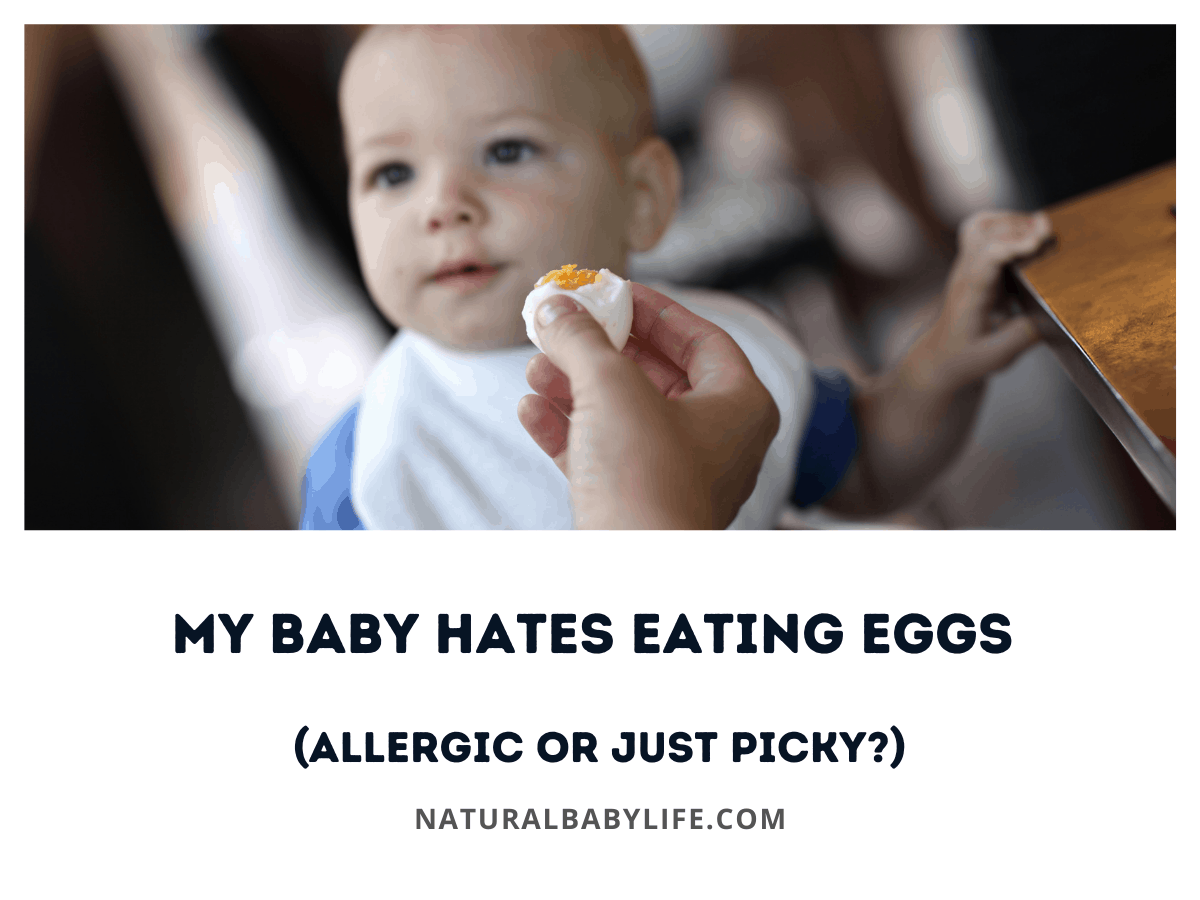 My Baby Hates Eating Eggs (Allergic or Just Picky?)