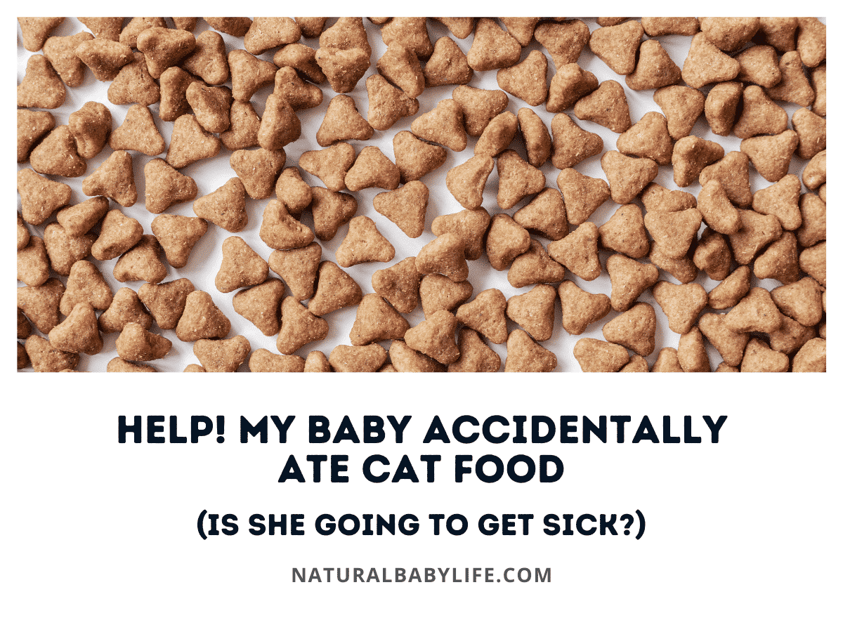 Help! My Baby Accidentally Ate Cat Food (Is She Going to Get Sick?)