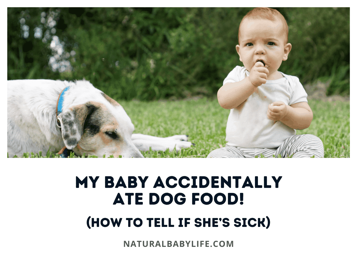 My Baby Accidentally Ate Dog Food! (How to Tell If She’s Sick)