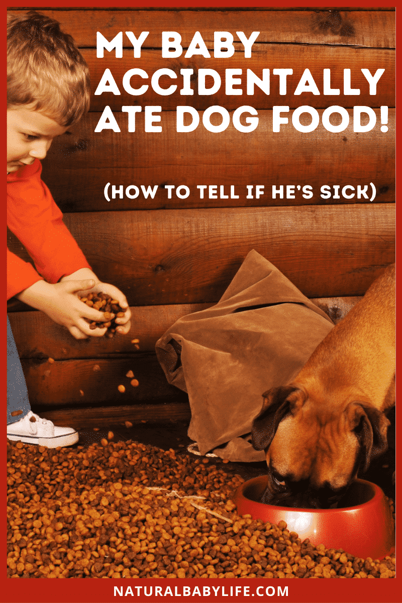My Baby Accidentally Ate Dog Food! (How to Tell If She’s Sick