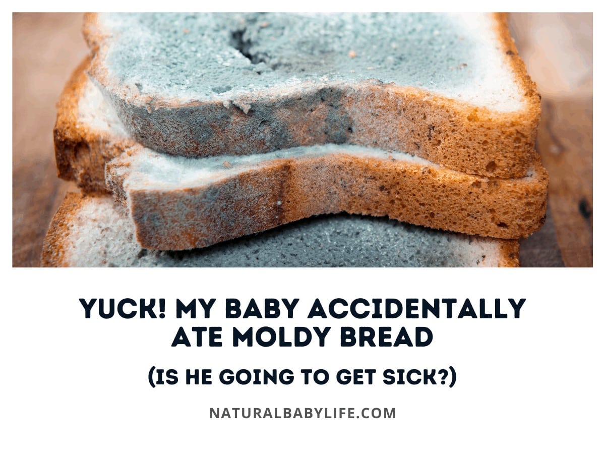 Yuck! My Baby Accidentally Ate Moldy Bread (Is He Going to Get Sick?)