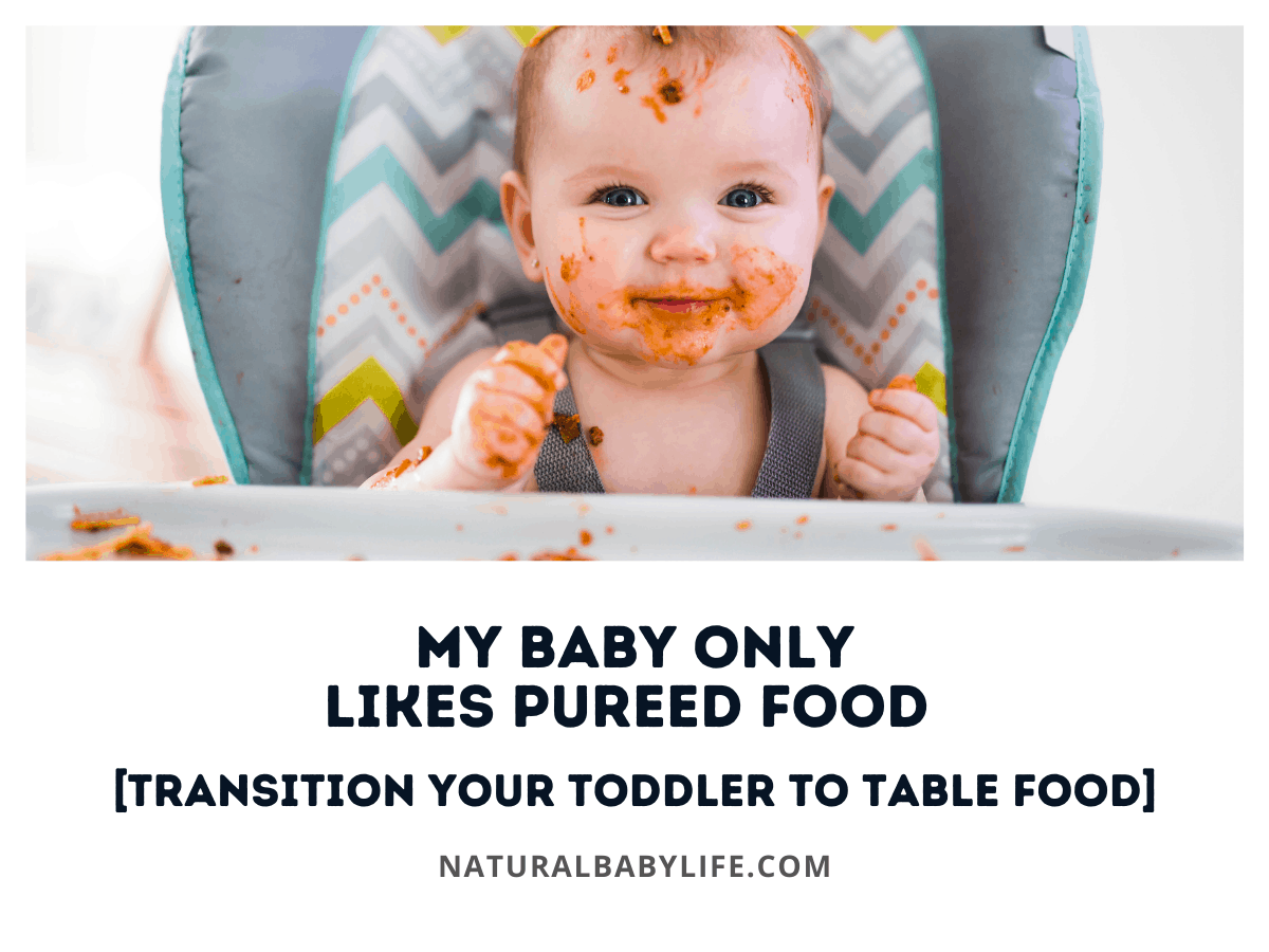 My Baby Only Likes Pureed Food [Transition Your Toddler to Table Food]