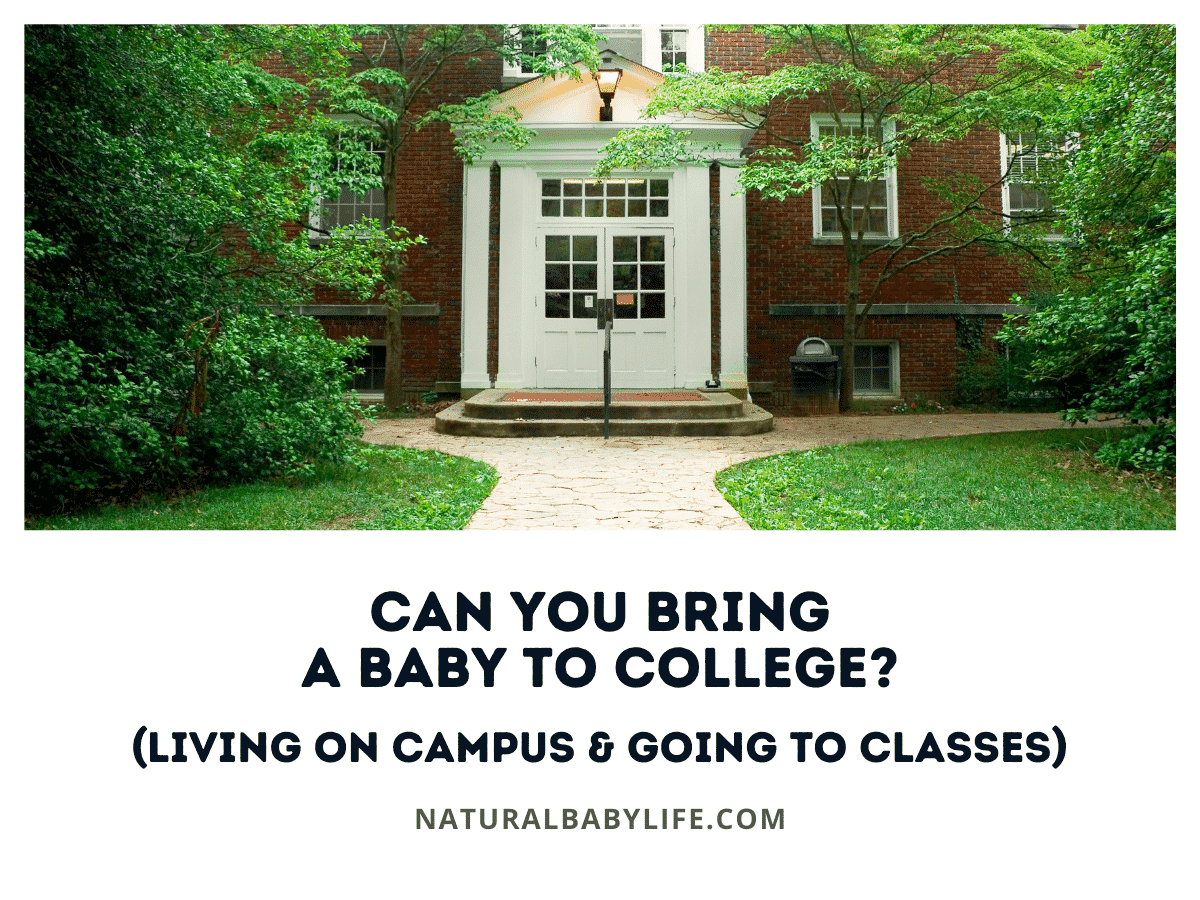 Can You Bring a Baby To College? (Living on Campus & Going To Classes)