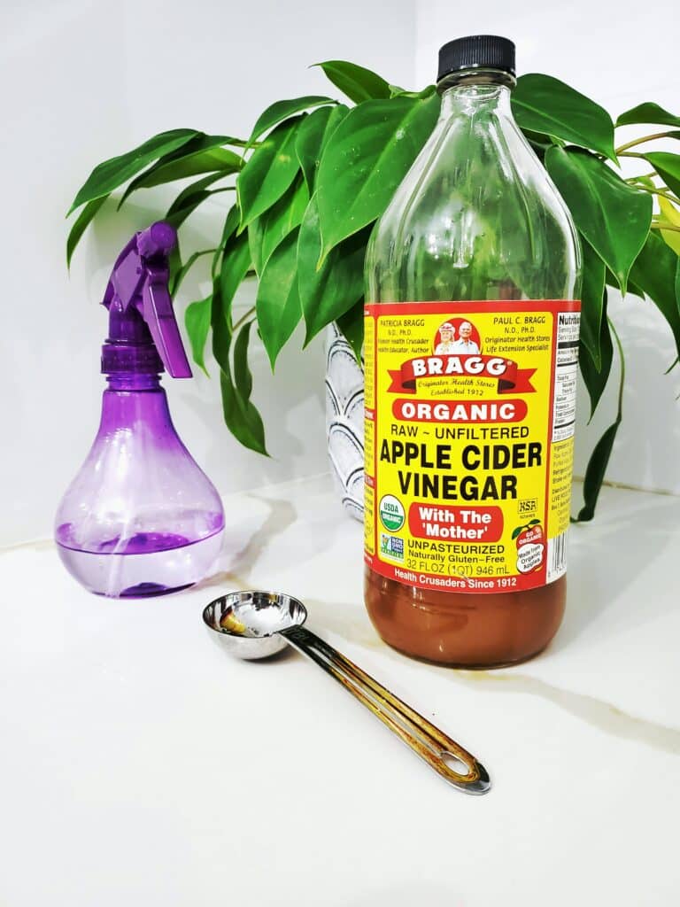 bottle of apple cider vinegar with spoon and squirt bottle