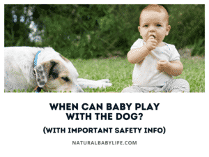 When Can Baby Play with the Dog? (With Important Safety Info)