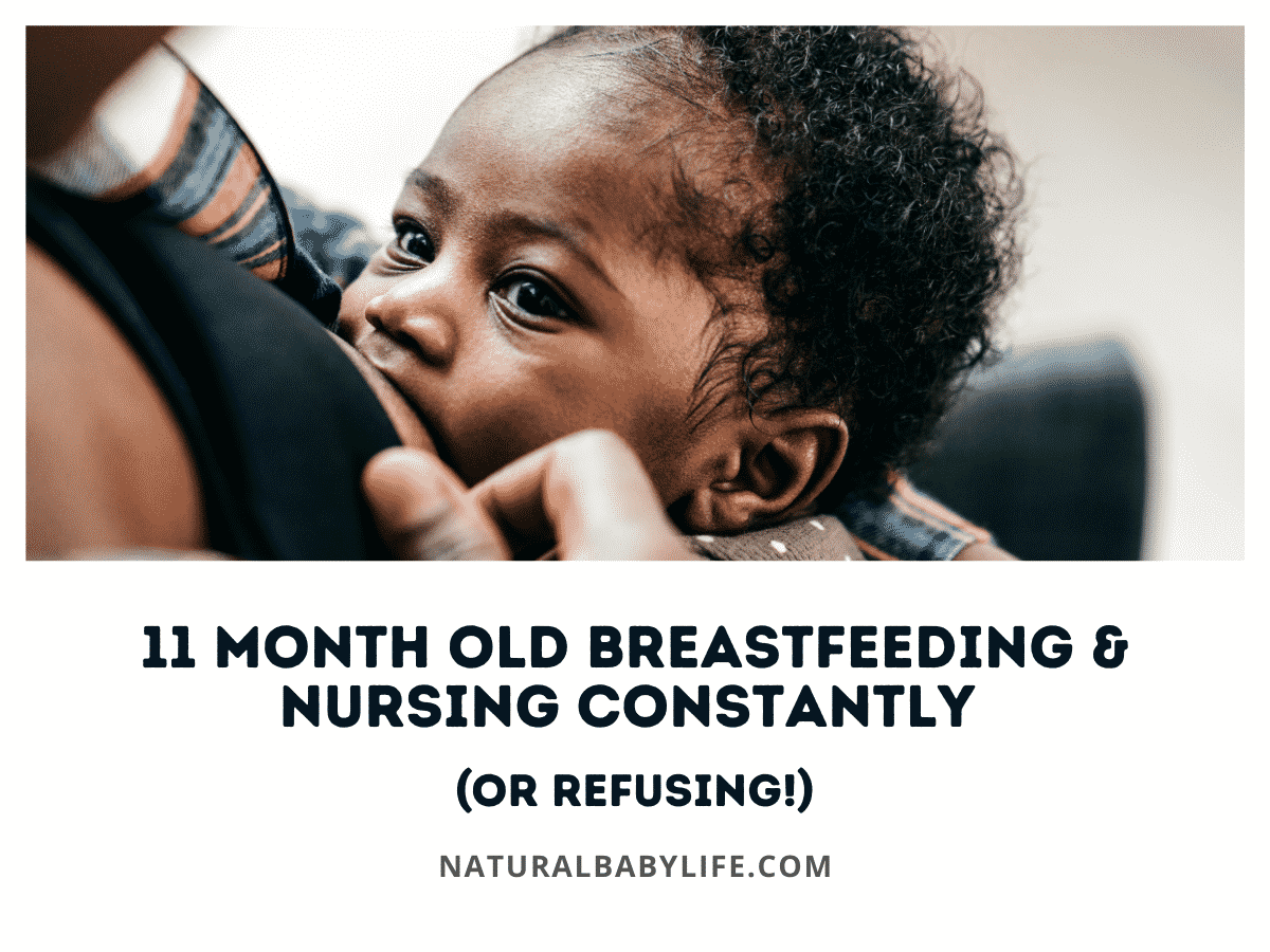 11 Month Old Breastfeeding & Nursing Constantly (or Refusing!)