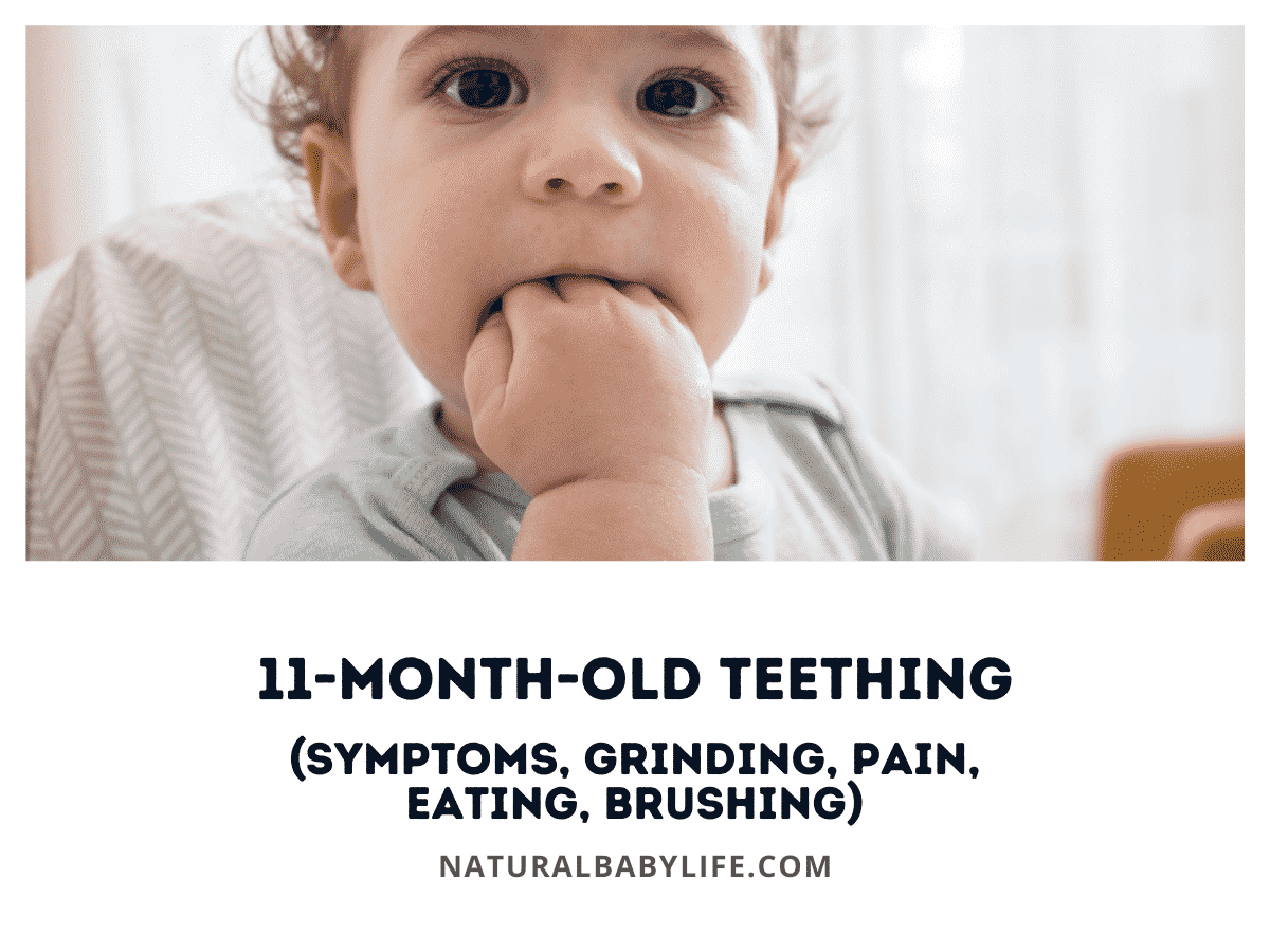 11 Month Old Teething (Symptoms, Grinding, Pain, Eating, Brushing)