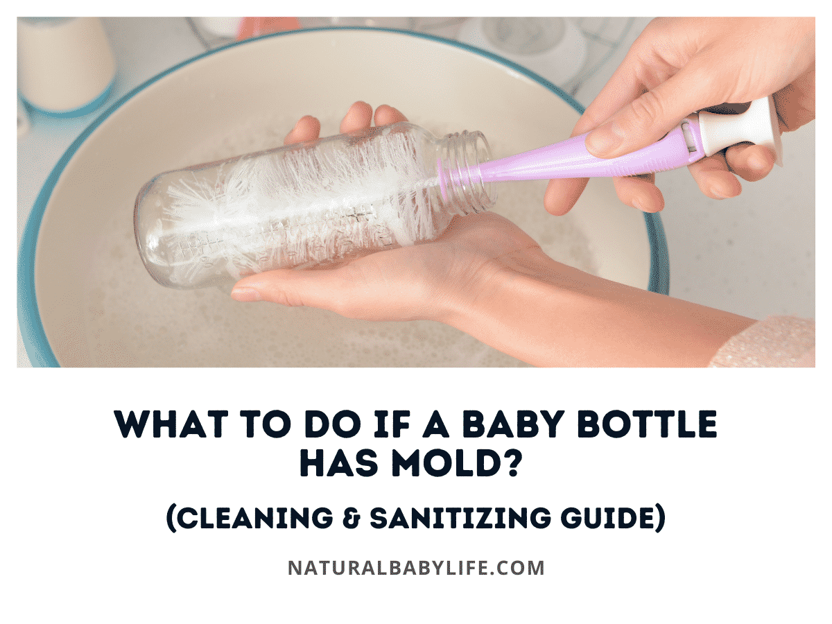 What To Do if a Baby Bottle Has Mold? (Cleaning & Sanitizing Guide)