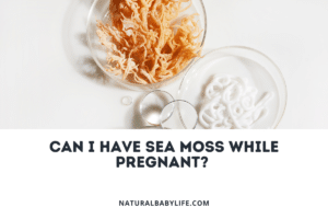 Can I Have Sea Moss While Pregnant?