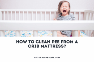 How to clean pee from a crib mattress? Pesky Pee Covered!