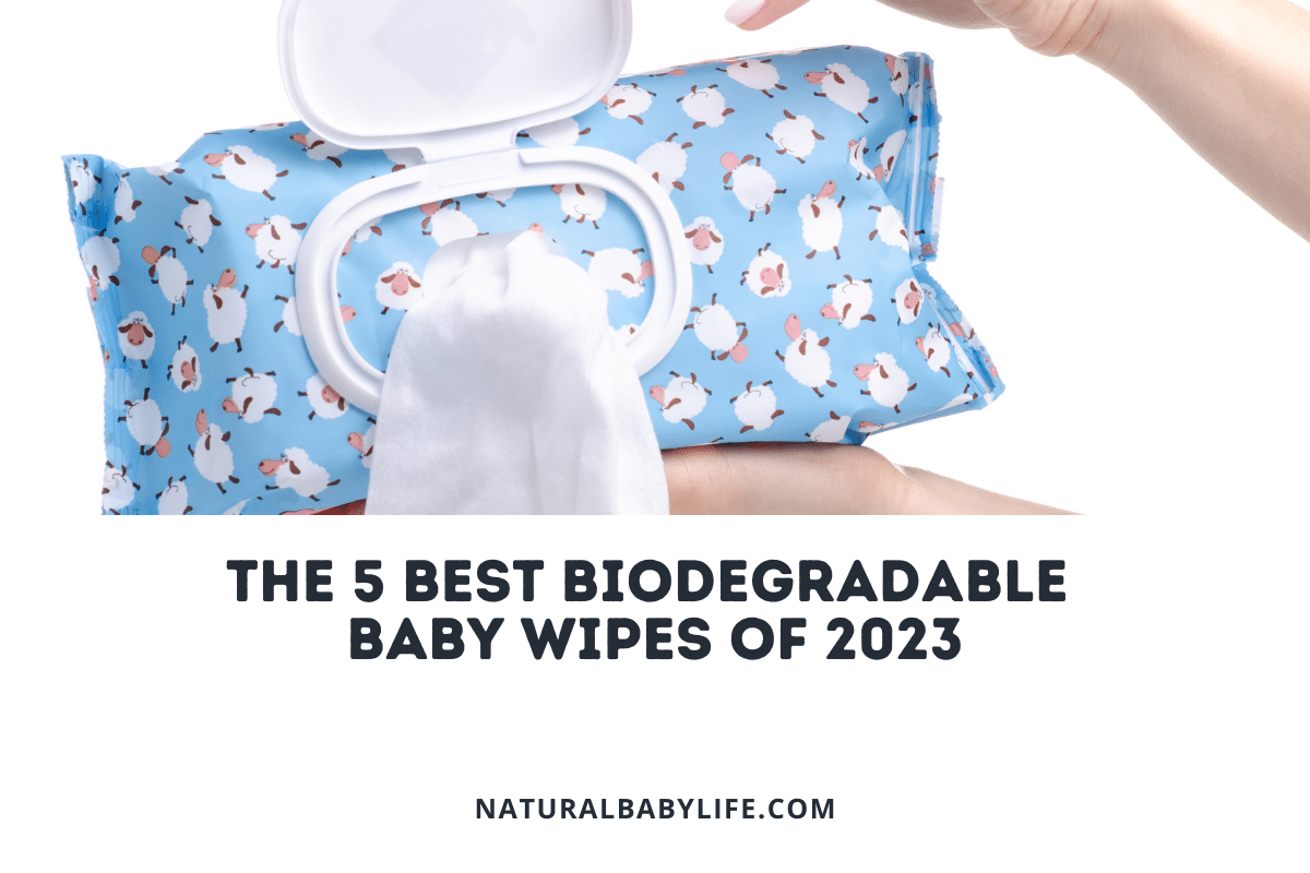 5 best biodegradable wipes of 2023